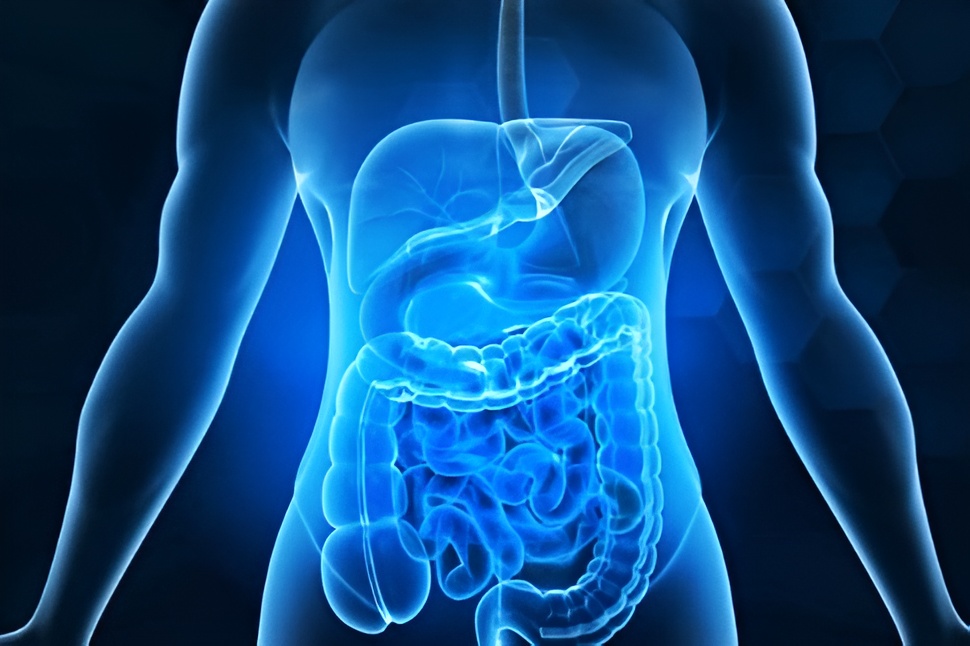 Digestion : les bienfaits des plantes aromatiques
