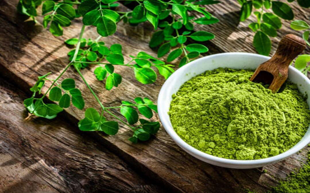 Moringa : l&rsquo;arbre de vie
