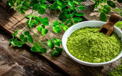 Moringa : l&rsquo;arbre de vie